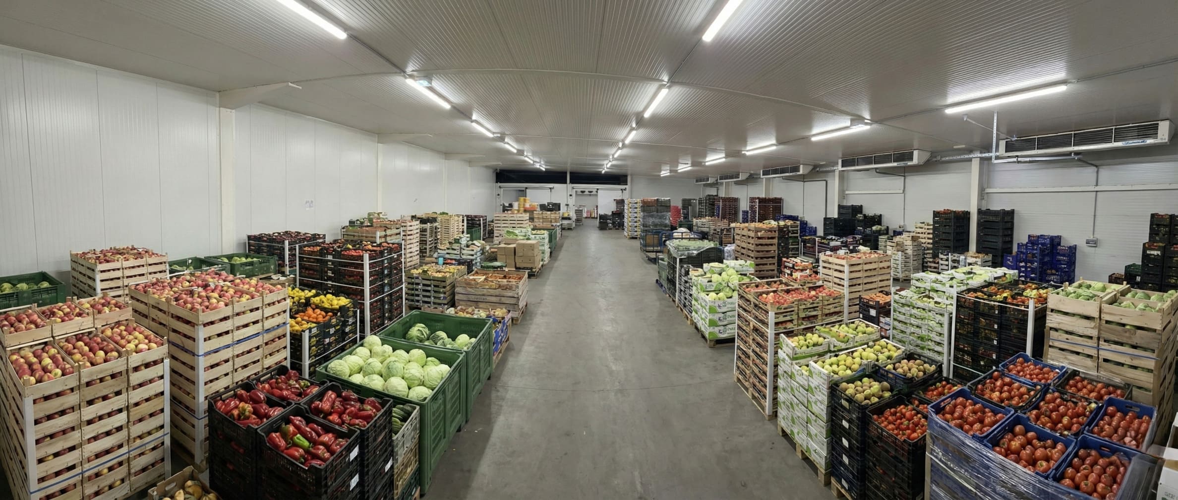 Professzionális zöldség gyümölcs raktározás hűtőházban